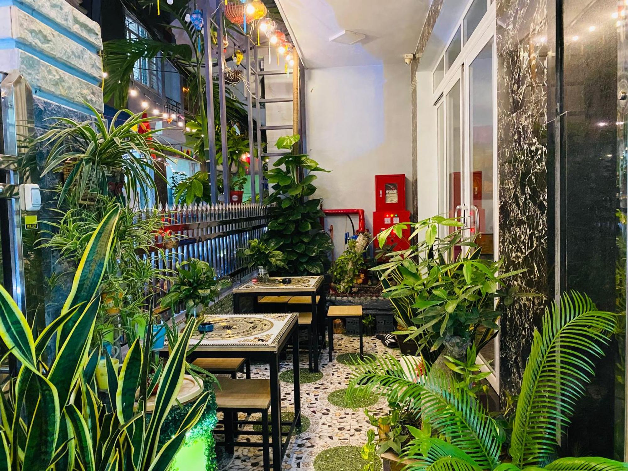 Cat Ba Central Homestay Dong Khe Sau Dış mekan fotoğraf